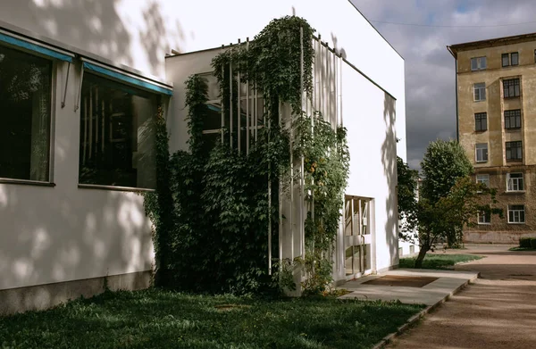 Bibliothèque Vyborg Par Alvar Aalto — Photo