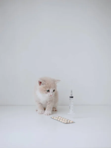 Gember Kitten Met Een Spuit Pillen — Stockfoto