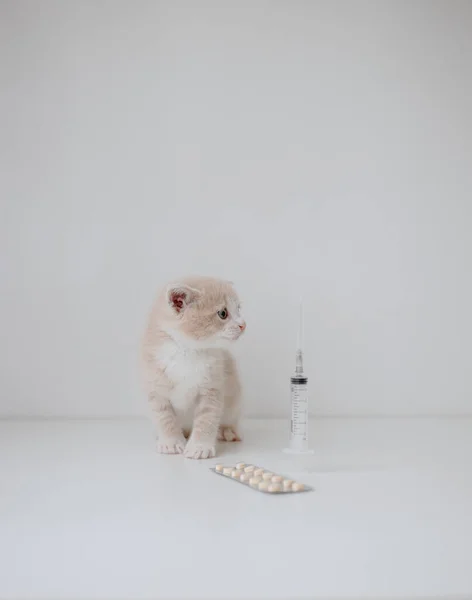 Gember Kitten Met Een Spuit Pillen — Stockfoto