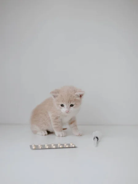 带注射器和药丸的生姜小猫 — 图库照片