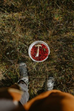 Ormandaki kızılcıklı plastik kutu.