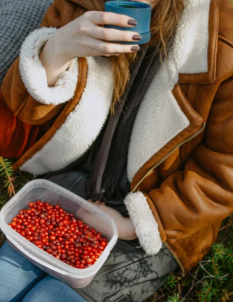 Πλαστικό Κουτί Cranberry Από Δάσος — Φωτογραφία Αρχείου