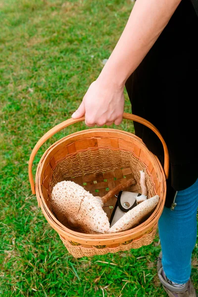 Unrecognizable Person Carries Wicker Basket Edible Mushrooms Walk Field Autumn — Stock Photo, Image