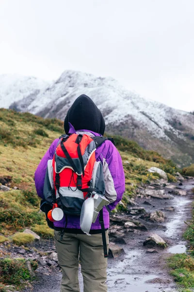 vertical stock photography. A hiker ascends a snowy mountain on a stone and mud path. person with backpack and caping utensils. sport and free time concept.