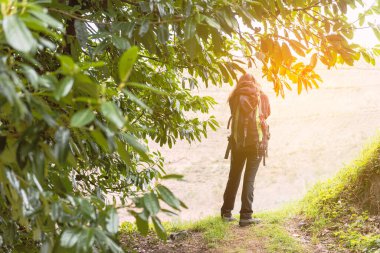 Sırt çantalı tanınmayan biri küçük bir köpekle ormanın içinden bir dağ yolu çiziyor..