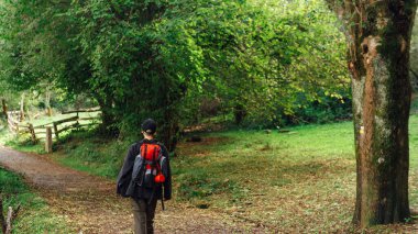 Asturias 'ta bir ormanda gezinen tanınmayan bir yürüyüşçünün arkasından manzara. Etkin turizm.