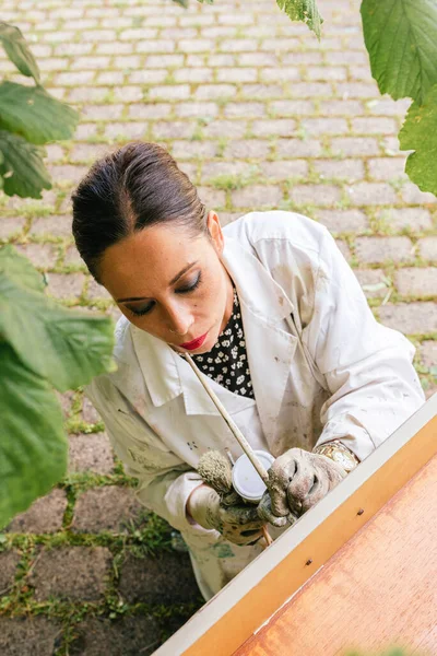 Vertical Photograph Latina Woman Working Antique Furniture Person Using Brushes — Stock Photo, Image