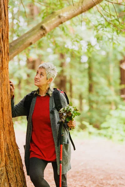 Вертикальна Фотографія Старої Жінки Яка Спостерігає Деревом Під Час Гірського — стокове фото