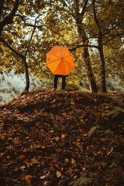 紅葉の上のオレンジ色の傘の後ろに隠れている人や木の下の雨の秋の日に — ストック写真
