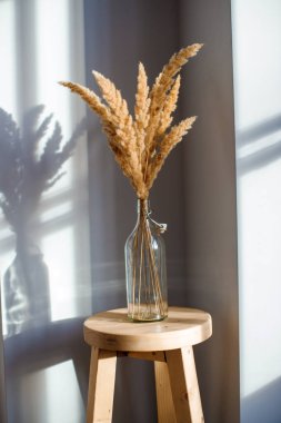 Bir buket kurumuş çiçekle, tahta bir sandalyede cam bir şişenin içinde.