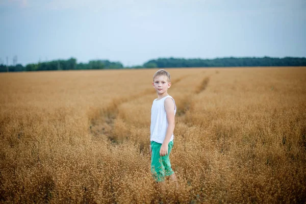 Ein Junge in weißem T-Shirt und grüner Hose rennt über ein Feld mit reifem Weizen — Stockfoto
