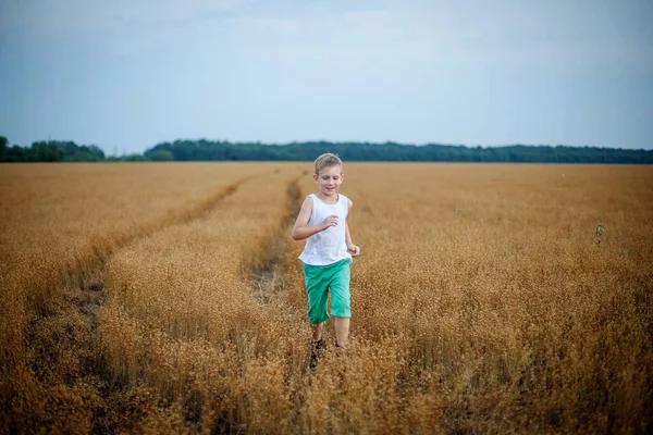 Un garçon en t-shirt blanc et short vert traverse un champ de blé mûr — Photo