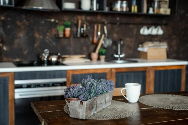 Uma panela com uma planta na mesa da cozinha. Cozinha, interior da cozinha. — Fotografia de Stock