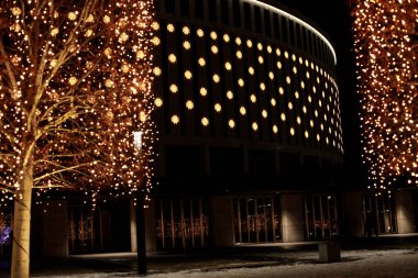 Yılbaşı fenerleriyle süslenmiş karlı bir parkta yaprakları olmayan ağaçlar ve binalar.