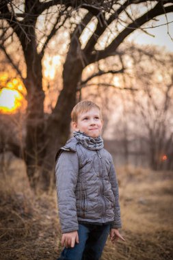 Gri ceketli bir çocuk günbatımında bir sonbahar ormanının arka planında duruyor.