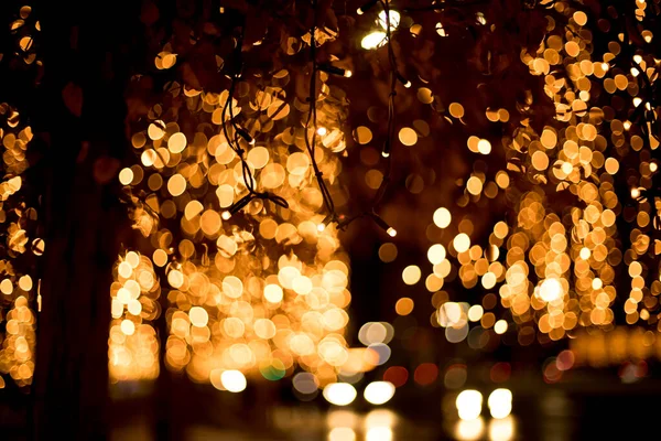 Alberi senza foglie in un parco innevato decorato con lanterne festive di Capodanno — Foto Stock