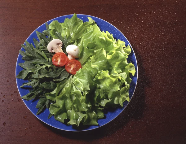 Piatto d'insalata fresco — Foto Stock
