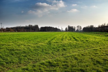 Yeşil alan, ülke yatay