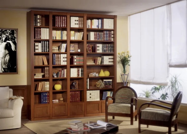 Sala de estar con biblioteca — Foto de Stock