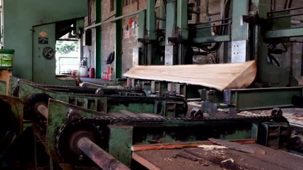 Macchinari industriali per la lavorazione del legno — Video Stock