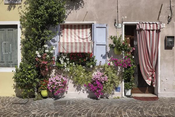 Vol bloemen huis muur — Stockfoto