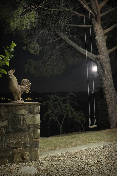 Ağaçta Salıncak Olan Gece Manzarası — Stok fotoğraf