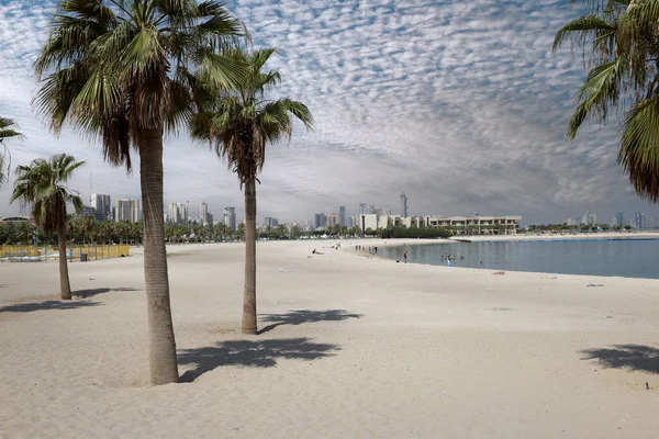 Strandlandschap Koeweit Met Palmbomen — Stockfoto