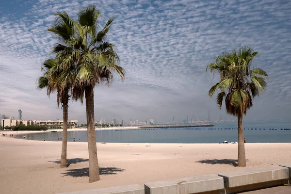 Strandlandschap Koeweit Met Palmbomen — Stockfoto