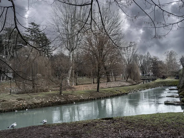 Parc Avec Rivière Autour Des Murs Trévise Une Ville Historique — Photo