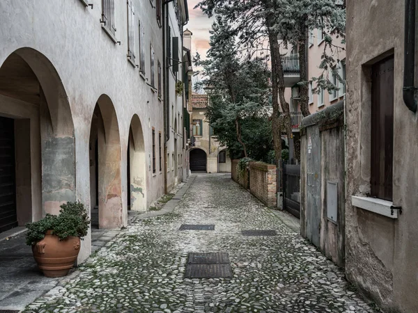 Visión Treviso Una Ciudad Histórica Italia — Foto de Stock