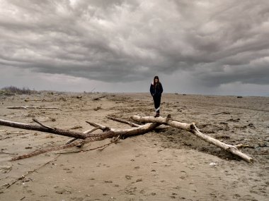 Ağaç gövdelerinin tepesinde bir kızla bir kış plajının manzarası 