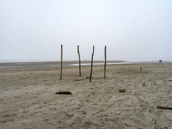 Paesaggio Una Spiaggia Invernale — Foto Stock