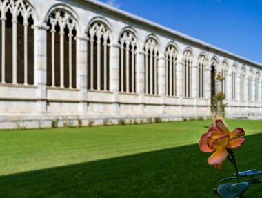 Arka planda kemerleri ve tarihi sütunları olan bir mimarinin bahçesinde çiçek. 