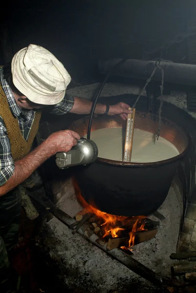 Queijo — Fotografia de Stock