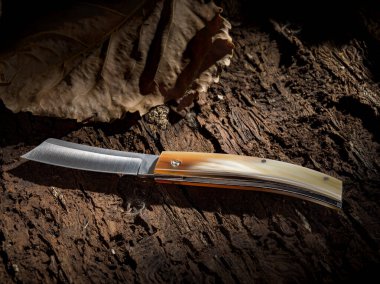 Ağacın kabuğunda duran katlanmış bir bıçağın yaşamı