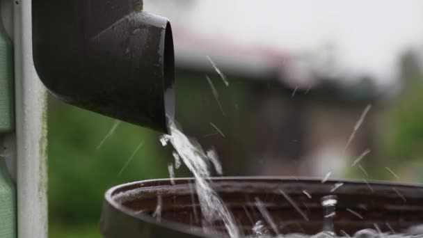 El agua de lluvia fluye desde la tubería hasta el barril — Vídeos de Stock