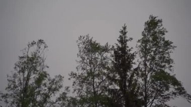 Gri, donuk gökyüzü, şimşekler, ışık kusuru.