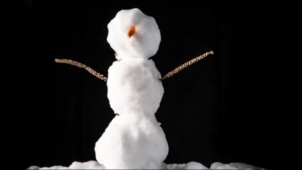 かわいい融雪雪だるまの時間の経過 — ストック動画