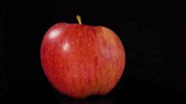 Kırmızı elma dönüyor. Siyah arka planda taze kırmızı elmayı kapat
