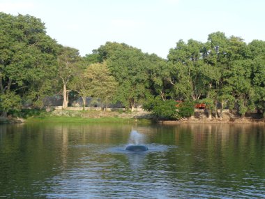 Bannerghatta Ulusal Parkı 'nda güzel bir göl