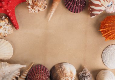 Kabukları eski kağıt üzerinde çerçeve yaptı