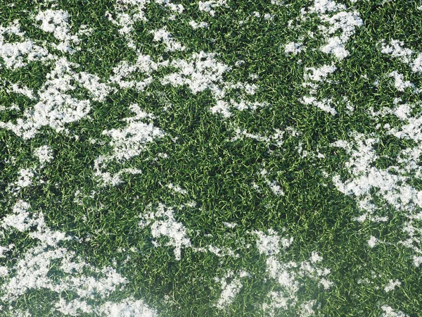 Herbe verte dans la neige — Photo