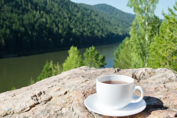 Cup on  rock at mountain view. — Stock Photo, Image