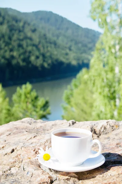 Cup on  rock at mountain view. — Stock Photo, Image