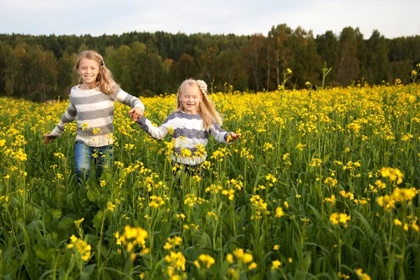 Feliz niños hermanas corriendo alrededor riendo en el prado —  Fotos de Stock