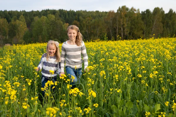 Happy kids  sisters running around laughing  in the meadow — Stock Photo, Image