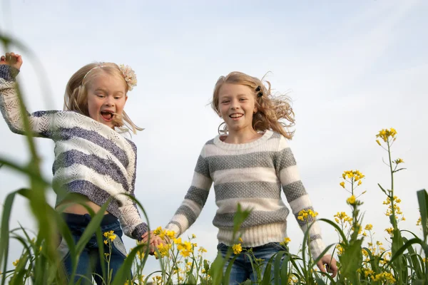 Happy kids  sisters running around laughing  in the meadow — Stock Photo, Image