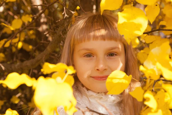 Girl portret in autumn — Stock Photo, Image