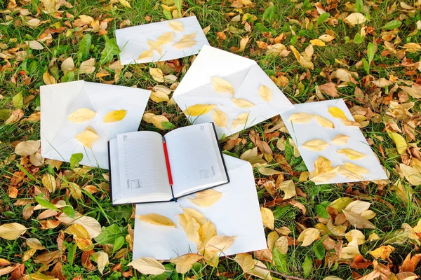 Stylo assis sur le carnet avec des feuilles d'automne — Photo