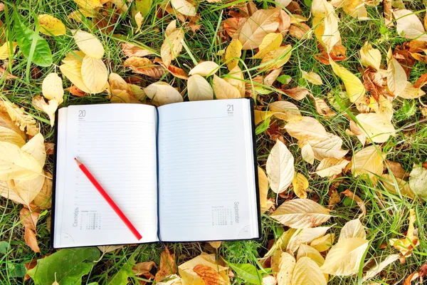 Sonbahar yaprakları ile defter üzerinde oturan kalem — Stok fotoğraf